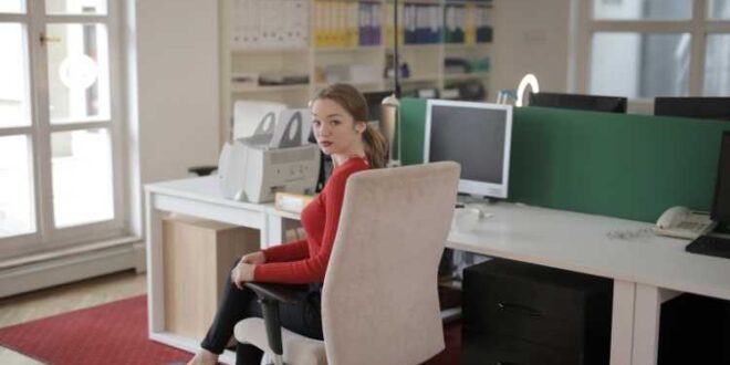 What to Look For From Ergonomic Office Chairs