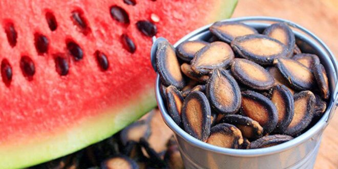 Watermelon seeds are good for health: