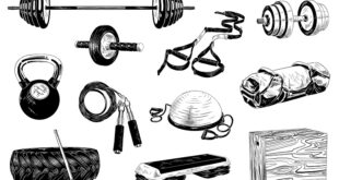 Fitness Equipments for Gym