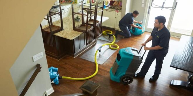 How to Choose The Best Flood And Water Restoration Company For Your Needs