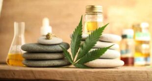 What To Look For When It Comes To Learning More About CBD Products