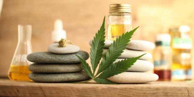 What To Look For When It Comes To Learning More About CBD Products