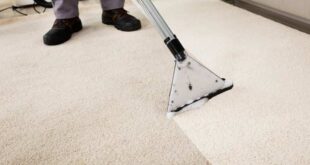 Why Professional Carpet Cleaning Gold Coast Is Important