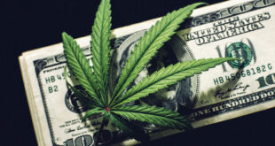 A Simple Guide to Starting a Marijuana Business