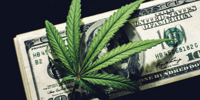 A Simple Guide to Starting a Marijuana Business