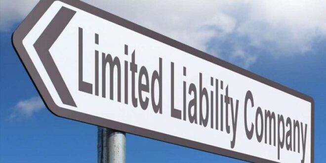 Limited Liability Company in Vermont