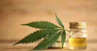 How much CBD can our body absorb