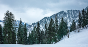 5 Snow-covered places in Himachal Pradesh, 2021