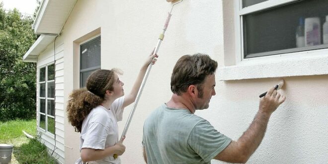Auckland painters