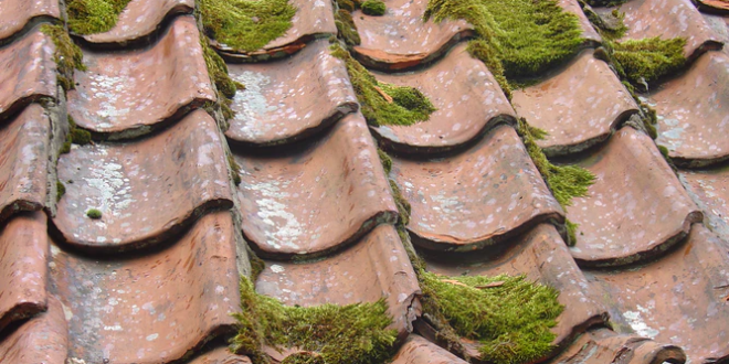 Checklist Before Replacing Your Roof
