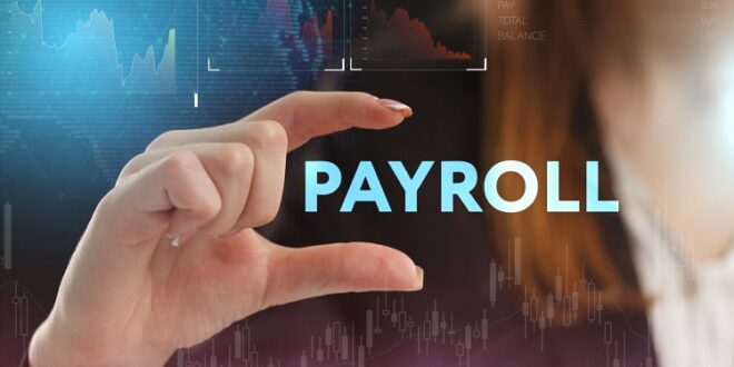 Payroll Solutions For Your Business