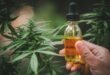 Why Is Flavor Important In Cbd Tinctures