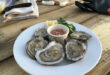 oyster seafood
