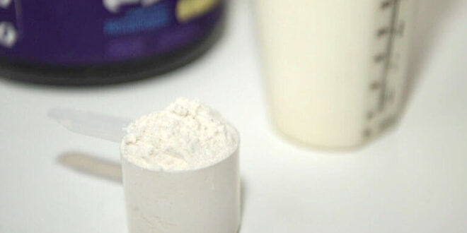 Importance of Using Best Protein Powders