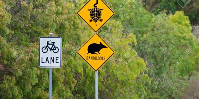 4 Signs That are Exclusively Prominent In Australia