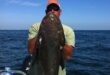 Deep Sea Fishing Pensacola
