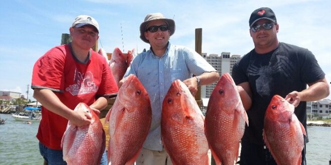 Fishing Charters in Pensacola