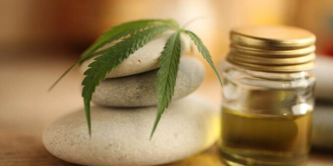 CBD Oil: Early History and A Brief Overview