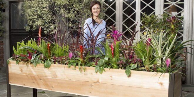 gardening in the planter boxes