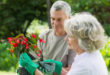 Benefits of Gardening for the Elderly