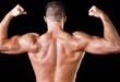 Exercises for Shoulder Blade Muscles