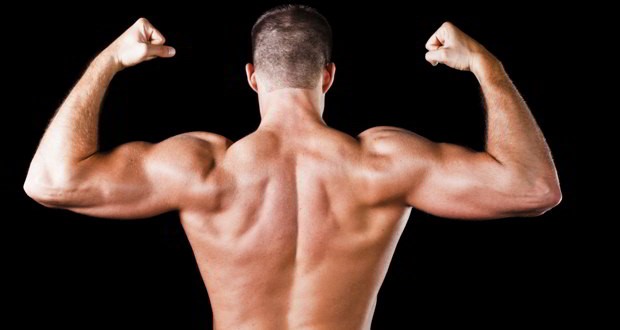 Exercises for Shoulder Blade Muscles