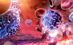 How to Study Immunology Fast