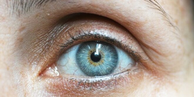 Improve Eye Health