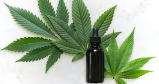CBD Products Come In Many Shapes