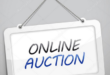 Holding Online Auctions