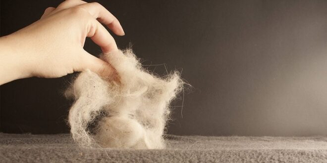 remove pet hair from your carpet