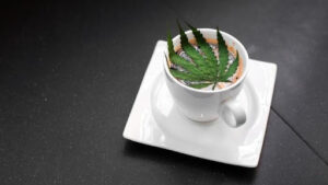 Coffee with Weed