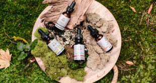 What Is Full Spectrum CBD? 6 Health Benefits to Know