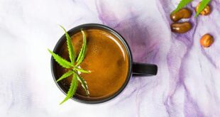 Coffee with marijuana leaf top view