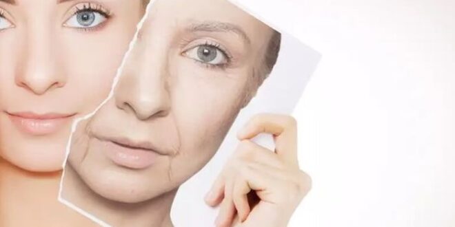 How to Prevent Visible Signs of Ageing