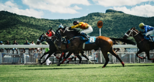 5 Horse Racing Events You Should