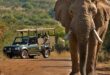 Safari Getaways