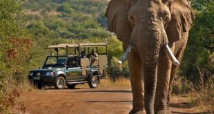 Safari Getaways