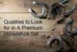 Qualities to Look for in A Premium Horseshoe Set
