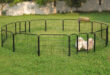 Pet Fence For Your Backyard