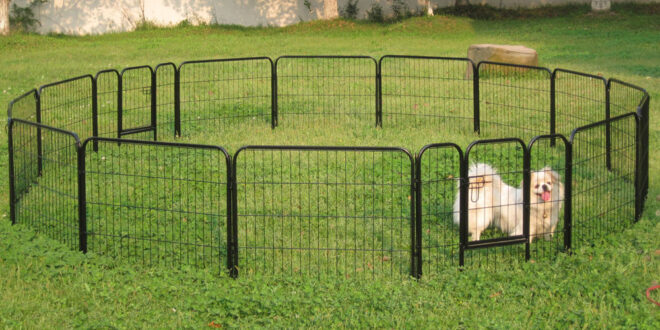 Pet Fence For Your Backyard