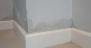 Damp Walls In Your Home
