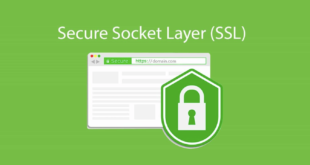 SSL Protocol