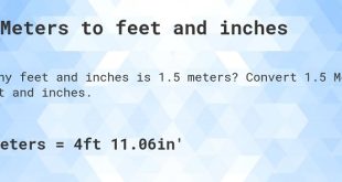 1.5 Meters to Feet