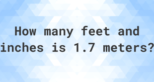 1.7 Meters to Feet