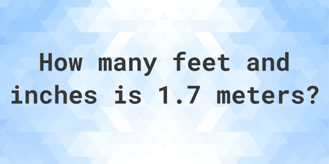 1.7 Meters to Feet