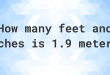 1.9 Meters to Feet
