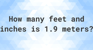 1.9 Meters to Feet