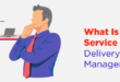 Service Delivery Manager