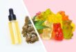 Can You Consider CBD Gummies A Perfect Snack
